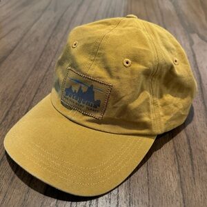 Patagonia Dad Hat - Excellent condition